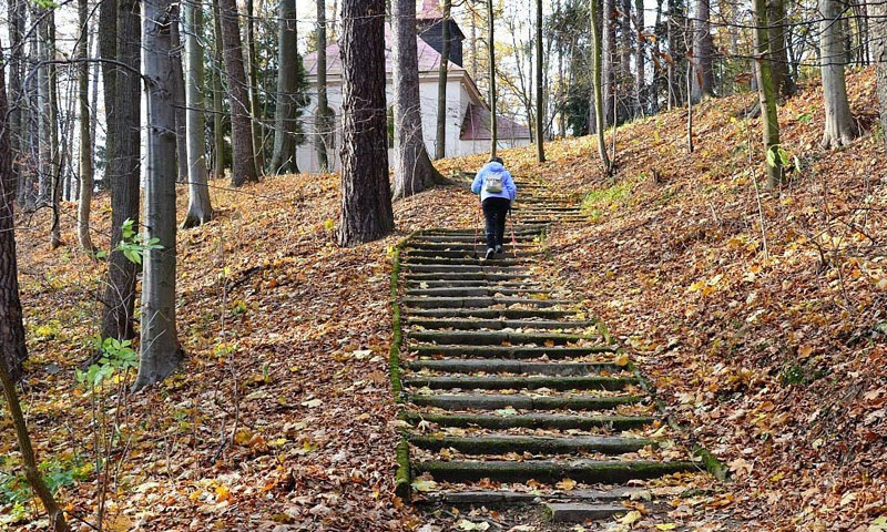 Góra Parkowa Kudowa Zdrój