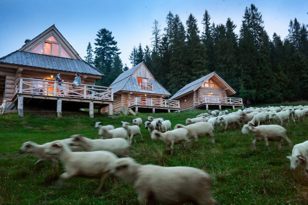 domek tatry booking